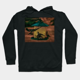 Birds at the feeder illustration Hoodie